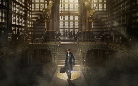 A Guide to the Magical World: The Ministry of Magic's Role in Wizarding Education